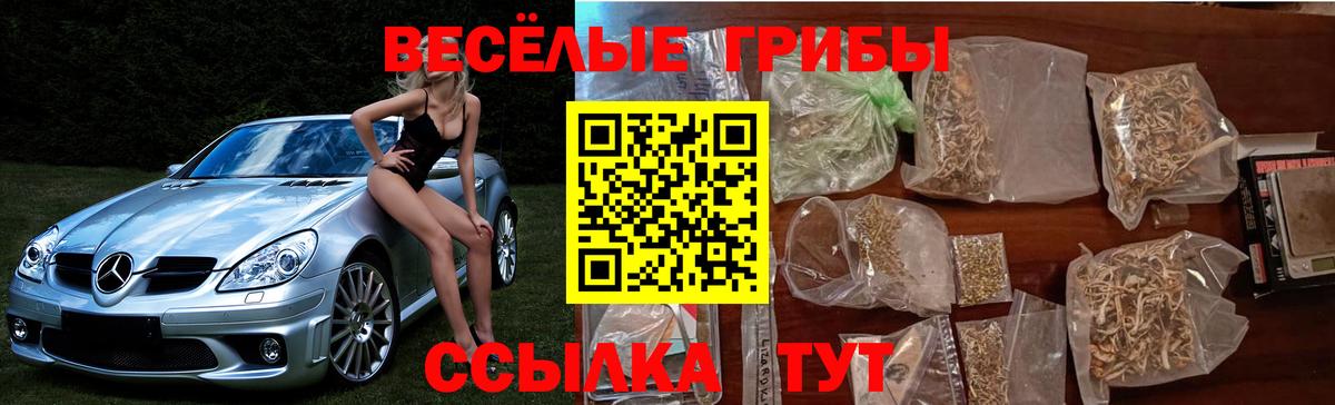 Партизанск  Псилоцибиновые грибы GOLDEN TEACHER  Вход с VPN 