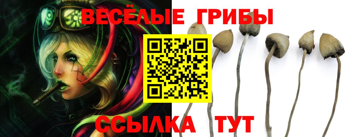 Галлюциногенные грибы GOLDEN TEACHER Партизанск
